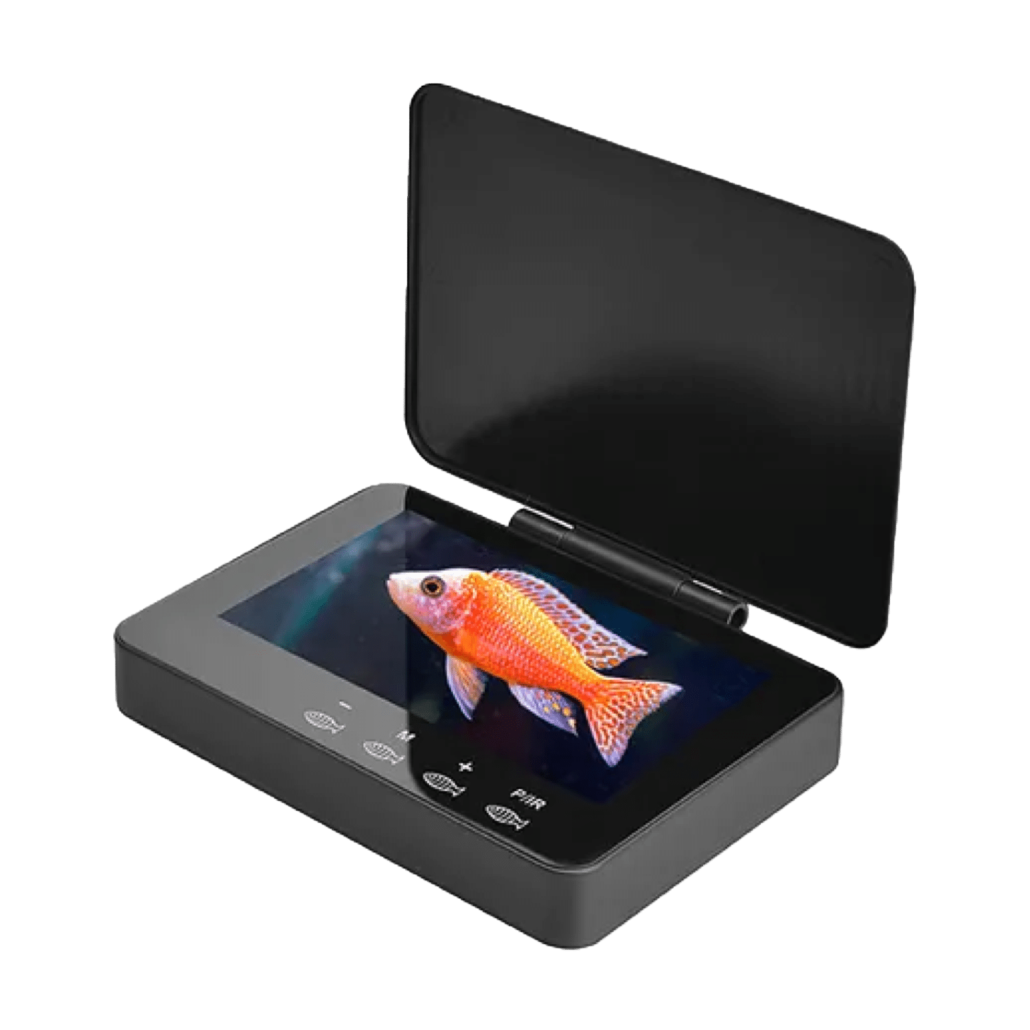 Best 5 Underwater Fishing Cameras of 2025 for Serious Anglers