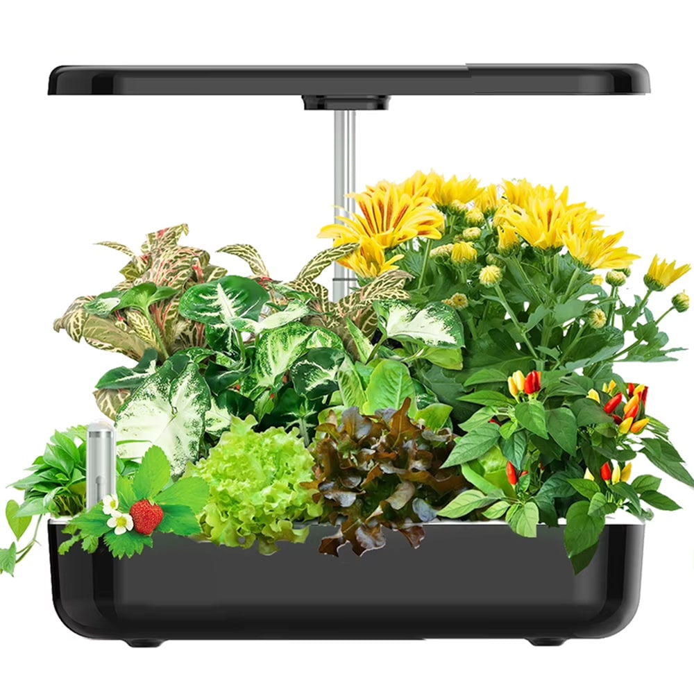 Best 5 Herb Indoor Gardens of 2026: Fresh Herbs Year-Round Without the ...